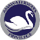 Silver Member Pin