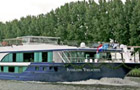 Avalon Felicity