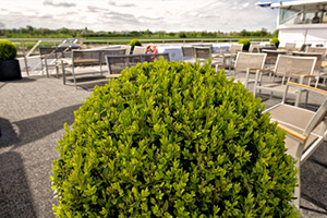 Sun Deck