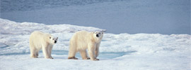 Mediterranean Cruises on SeaDream Innovation