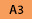 A3