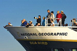Accessible Bow