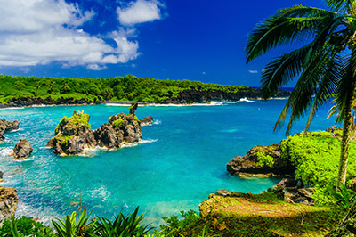 New Year's Cruises to Hawaii
