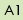 A1