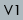 V1