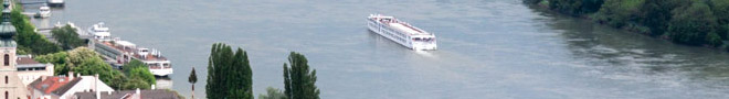 S.S. Joie de Vivre